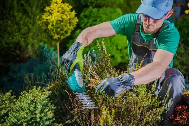 landscaping services Grand Isle